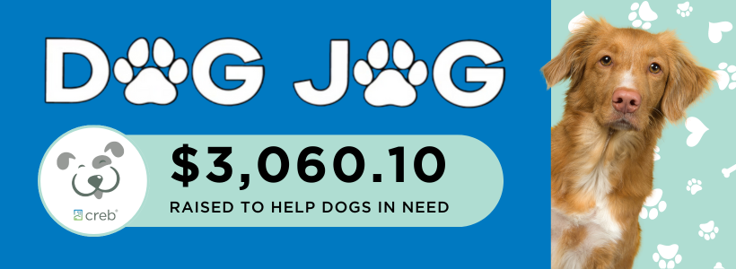 Dog Jog Money Raised CT Banner
