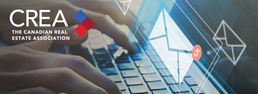 CREA Member Experience CT Banner